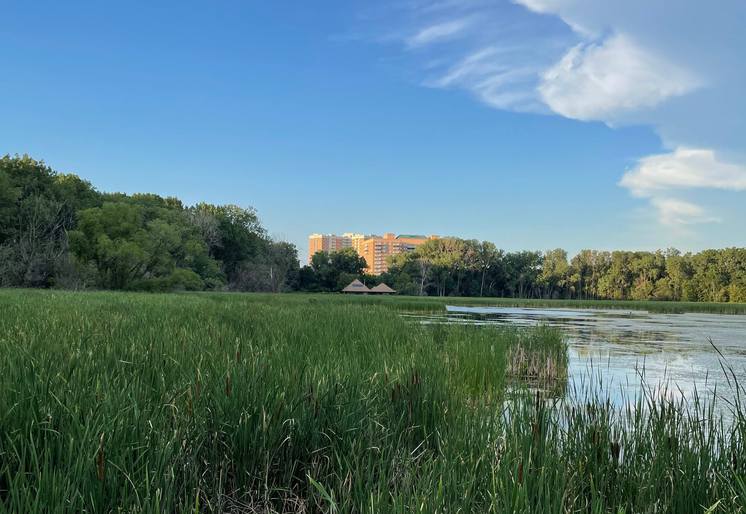 Woodlake Nature Center looking NE